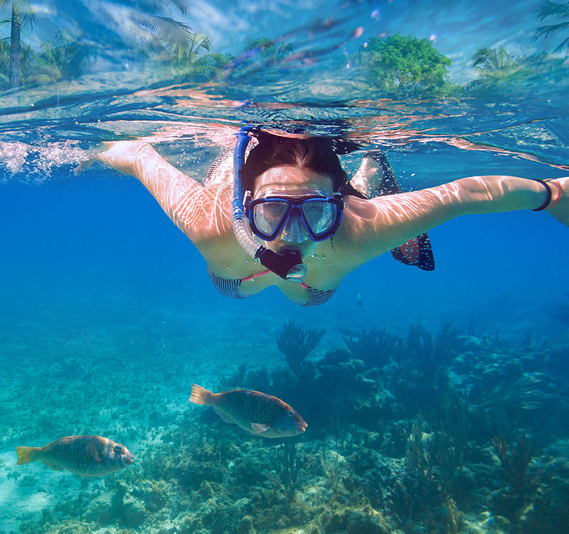 🤿 Snorkeling & Water Activities 